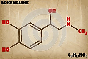 Detailed illustration of the molecule of Adrenaline