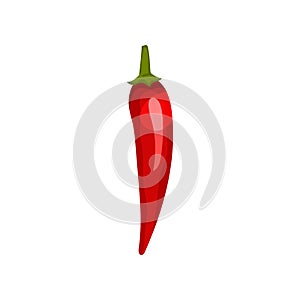 Ripe red thai pepper. Fresh vegetable. Natural product. Cooking ingredient. Organic food. Flat vector design