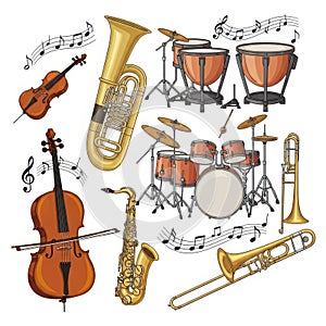 A detailed illustration of various classical and modern musical instruments isolated on white background