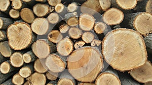 Detailed image of a pile of cylindrical logs with the cut ends