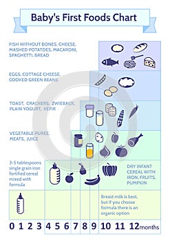 Detailed Information on baby food infographic.Baby's First Foods