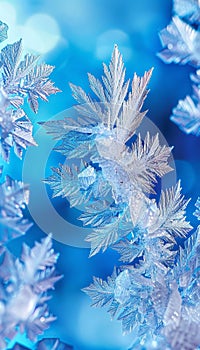 Detailed intricate frost patterns on windowpanes creating an elegant winter background