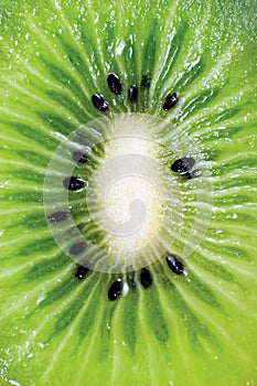 Detailed Kiwi Fruit Cut Cross Section Macro, Large Detailed Vertical Background Pattern Closeup