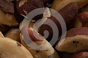 Large close up shot of para nuts