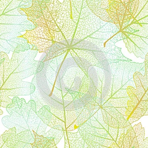 Detailed leaves seamless background. EPS 10