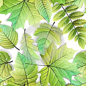 Detailed leaves seamless background. EPS 10