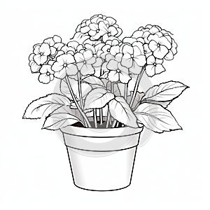 Detailed Line Drawing Of Transcendent Flower Pot
