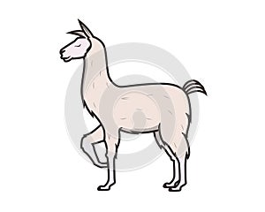 Detailed Llama with Standing Gesture Illustration