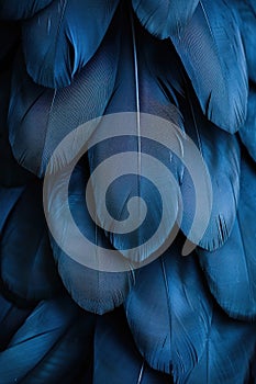 Detailed macro shot of navy blue feathers closely layered, showcasing rich color and texture