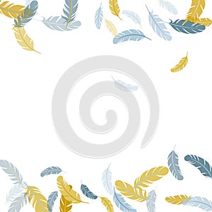 Detailed majestic feather on white design.