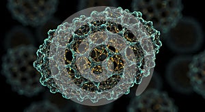 Detailed microscopic virus capsid structure model