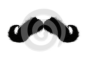 Detailed moustache vector illustration isolated on white