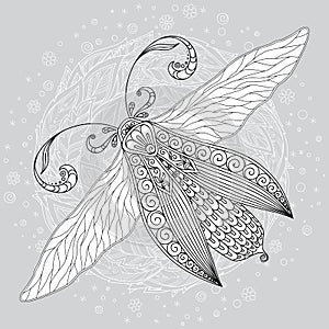 Detailed ornamental sketch of a moth
