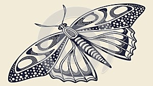 Detailed ornate moth or butterfly illustration, vector design Generative AI photo