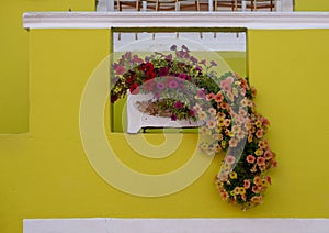 Detailed photo of house with flowers outside in the Malay Quarter, Bo Kaap, Cape Town, South Africa