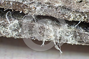 Detailed photography of construction material with asbestos fibres. Health harmful and hazards effects