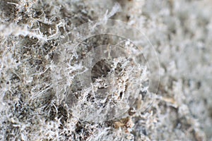 Detailed photography of constructional material with asbestos fibres. Health harmful and hazards effects