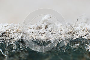 Detailed photography of constructional material with asbestos fibres. Health harmful and hazards effects