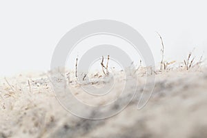 Detailed photography of roof covering material with asbestos fibres