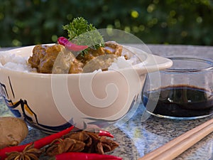 Detailed Picture of the asian style dish, thai or cambodian, curry with vegetables and rice