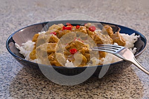 Detailed Picture of typical indian food hot lamb curry with rice and chopped chili served on the deep plate