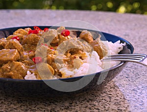 Detailed Picture of typical indian food hot lamb curry with rice and chopped chili served on the deep plate