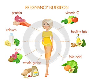 Detailed pregnancy nutrition infographic