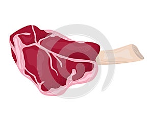 Detailed raw steak vector illustration. Realistic uncooked beef meat with bone graphic