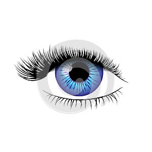 Detailed realistic blue eye with beautiful eyelashes on white