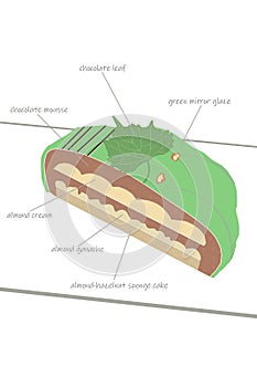 Detailed schematic diagram of cake