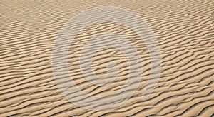 Sand Dunes Texture Ripples and Desert Landscape