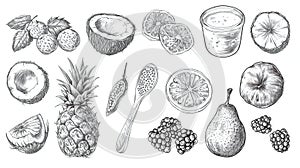 detailed sketch of assorted fruits and a glass of smoothie. ,AI Generated