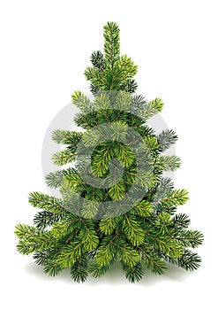 Detailed Small Christmas Tree