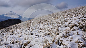 Detailed Snowy Landscape