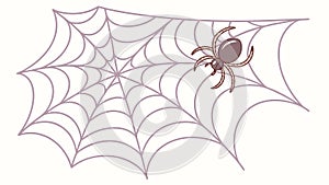 Detailed Spiderweb Pattern Abstract Design Element, vector design Generative AI