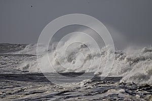 Detailed stormy breaking wave