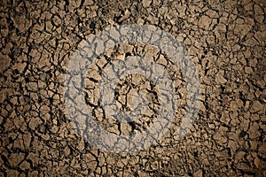 Detailed texture: broke dry soil background