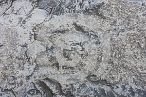 Detailed Texture on a Speckled grey Rock
