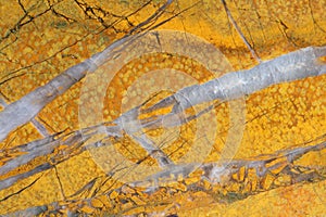 Detailed texture of yellow jasper