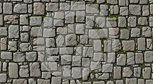 Old Cobblestone Pavement Texture with Moss
