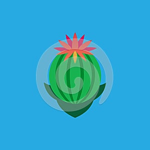 Barrel Cactus Flower vector art illustration photo