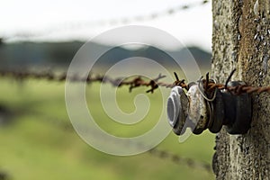 Auschwitz Birkenau