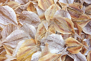 Detailed view of  drying fish in the sun on fishing nets on the beach