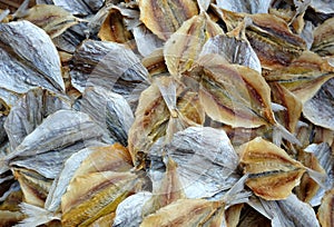 Detailed view of  drying fish in the sun on fishing nets on the beach