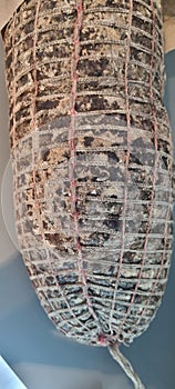 Close-up texture of a worn-out rope