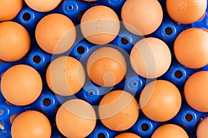 Detailed view on fresh natural brown eggs in blue plastic container