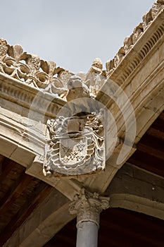 Detailed view of gargoyle and coats of arms carved in stone, on ornamented cloister at the Casa de las Conchas building, on