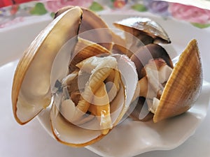 Detailed view of a giant clam, used in typical Angolan cuisine and called kiteta or quiteta