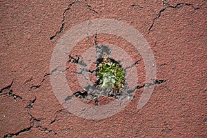 Detailed view of a hole and cracks on the asphalt road pavement