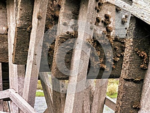 Detailed view of old weathered wooden watermill wheel
